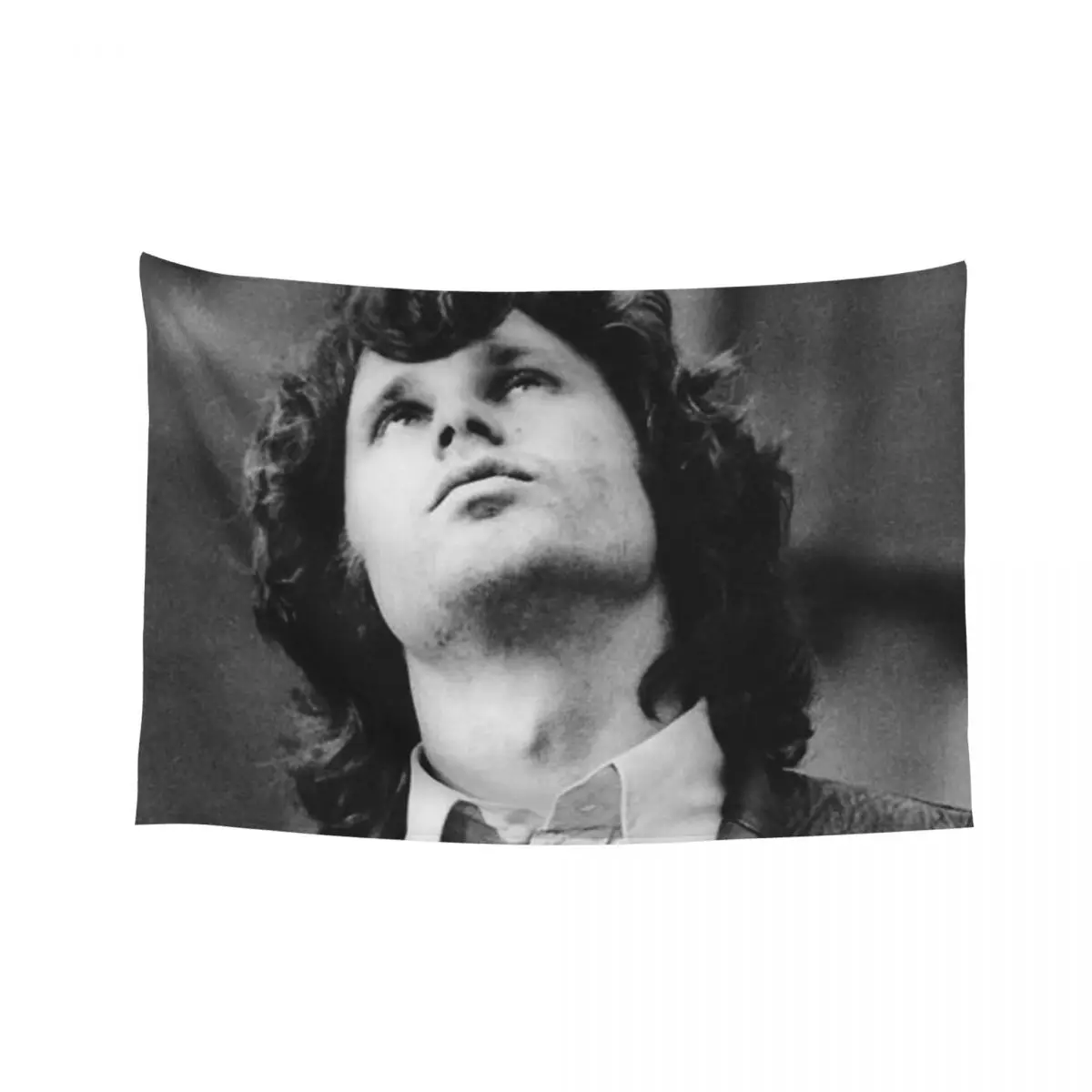 

Jim Morrison 5 Tapestry Mushroom Funny Home Supplies Aesthetic Room Decor Korean Tapestry