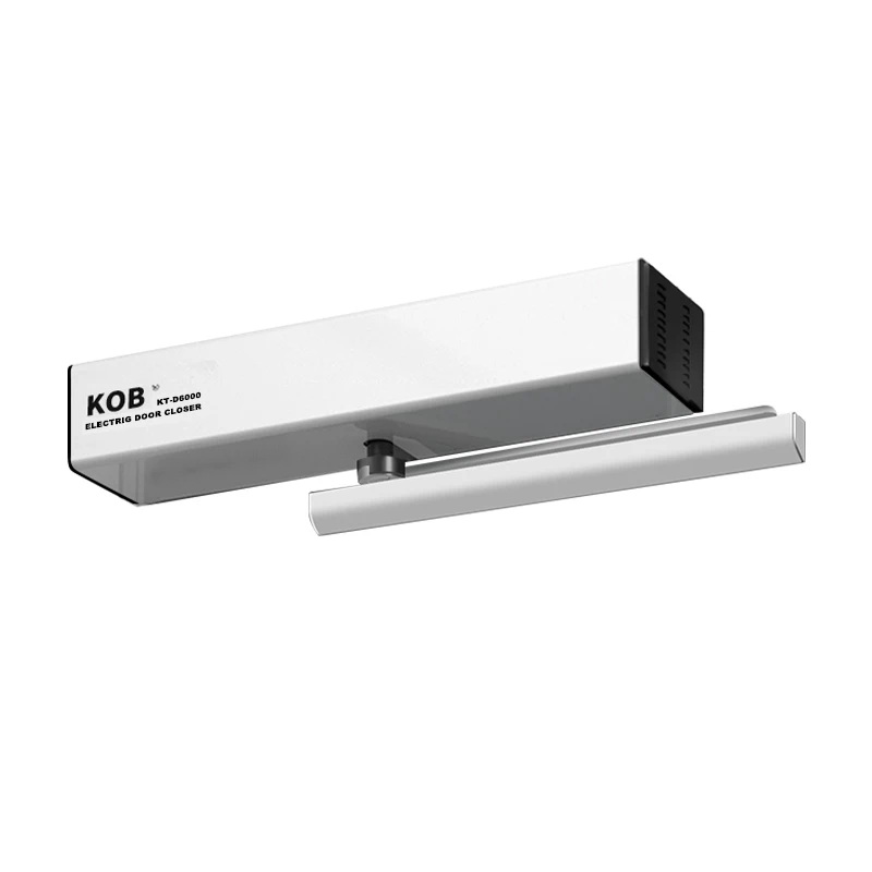 Silent hydraulic adjustable electric automatic door openers and door closers with push-pull device