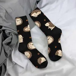 Cute Hedgehogs Unisex Socks Cartoon Little Hedgehog and Acorns Funny Socks Gifts for Women Mens Novelty Crew Socks