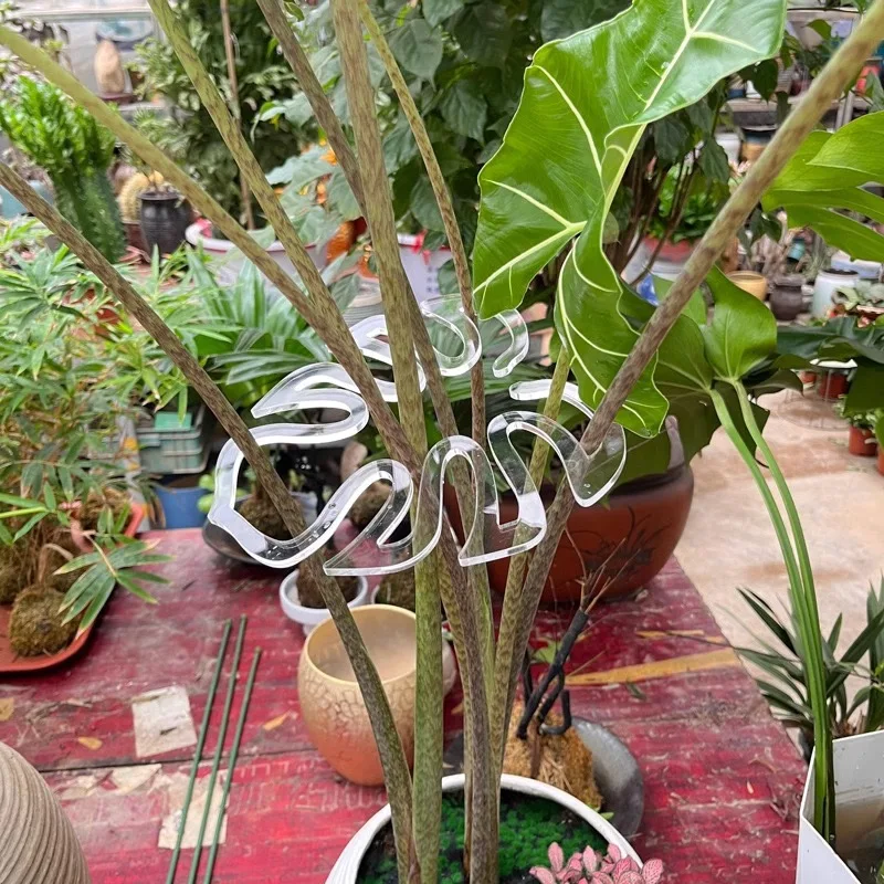 10pcs Monstera Leaf Plant Support Pole | Sturdy Garden Plant Support Pile | Plant Stand for Climbing Indoor Potted Plants