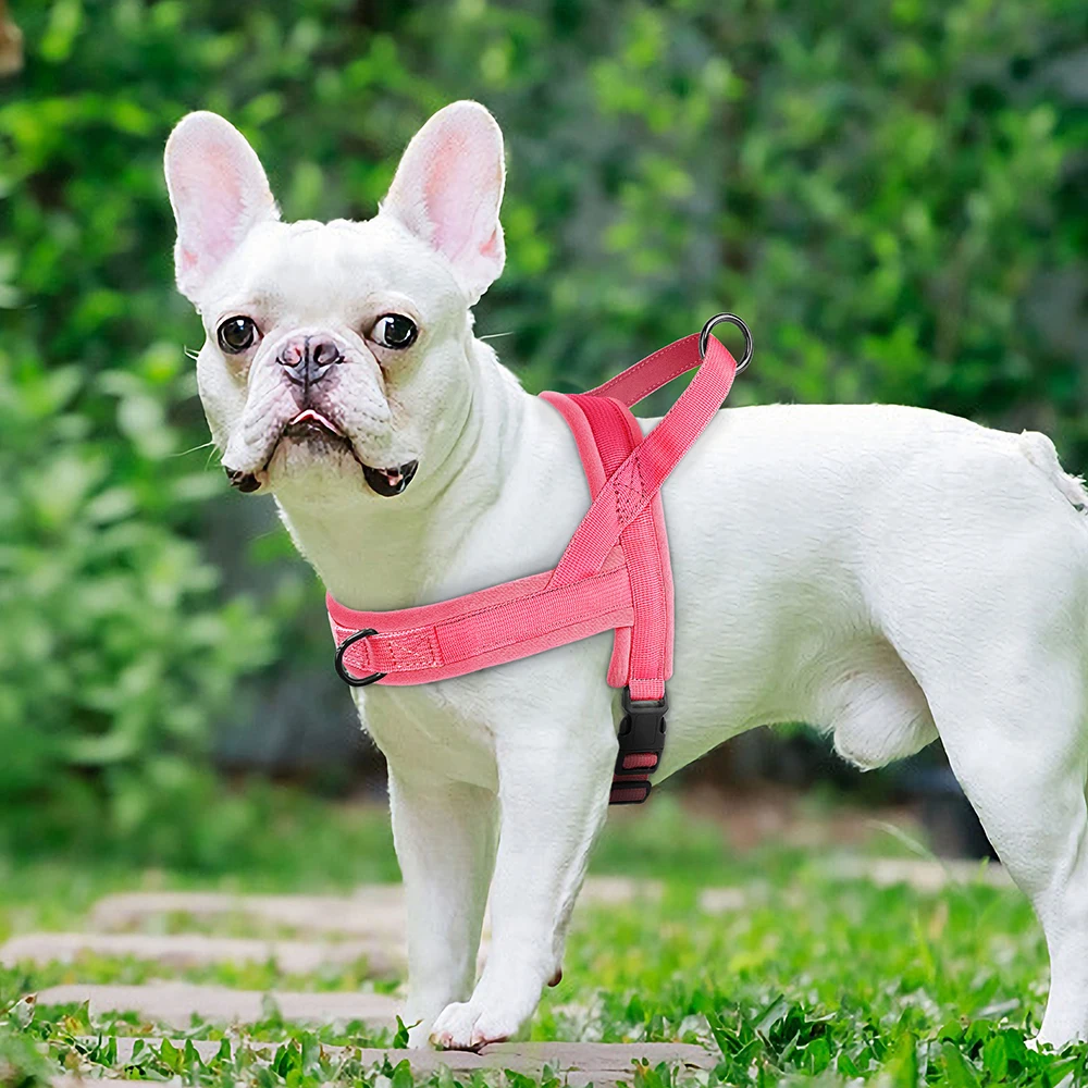 Weiches, nicht ziehendes Geschirr für kleine und mittelgroße Hunde, Nylon, Pitbull-Hunde-Welpengeschirr, gepolsterte Haustierweste, verstellbar für kleine Hunde, Chihuahua, Mops – Detail 13