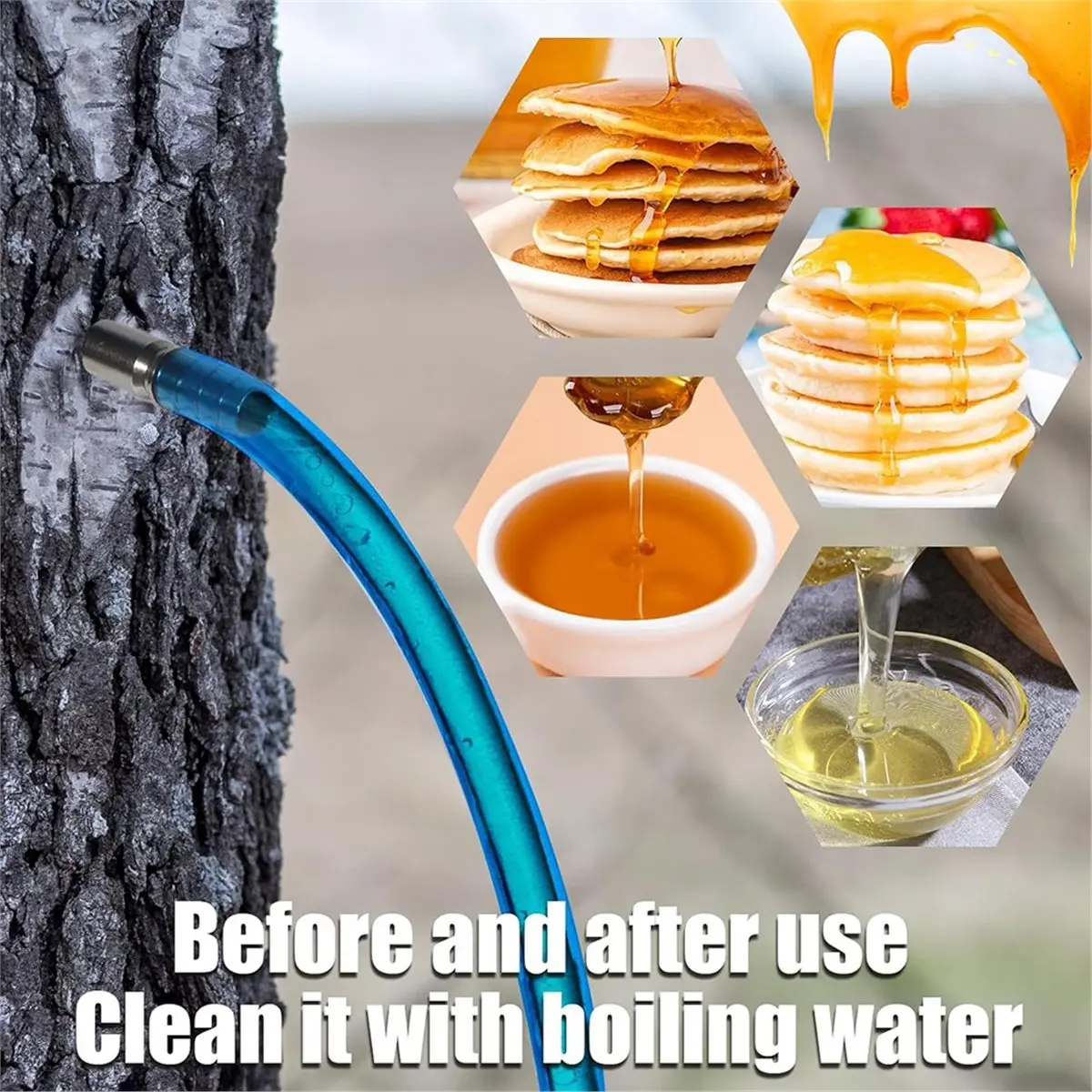 Best sales 2026 Comprehensive Maple Syrup Tapping Kit with Stainless Steel Taps and Accessories