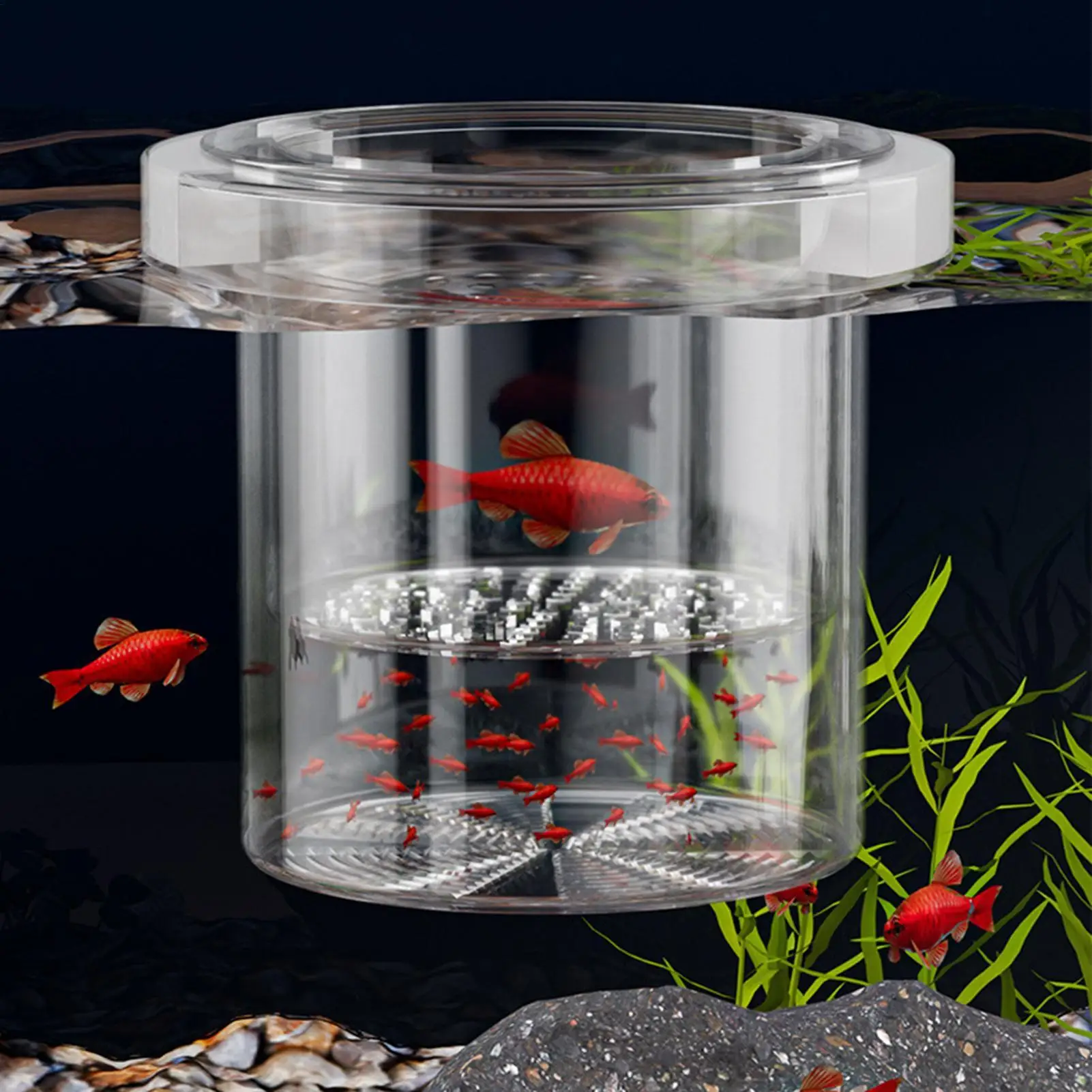 Fish Breeder Box Fish Tank Isolation Box Nursery Feeding Container Hatchery Incubator Divider for Betta Egg Fry Guppy Angelfish