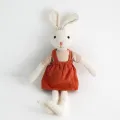 Pink belted rabbit