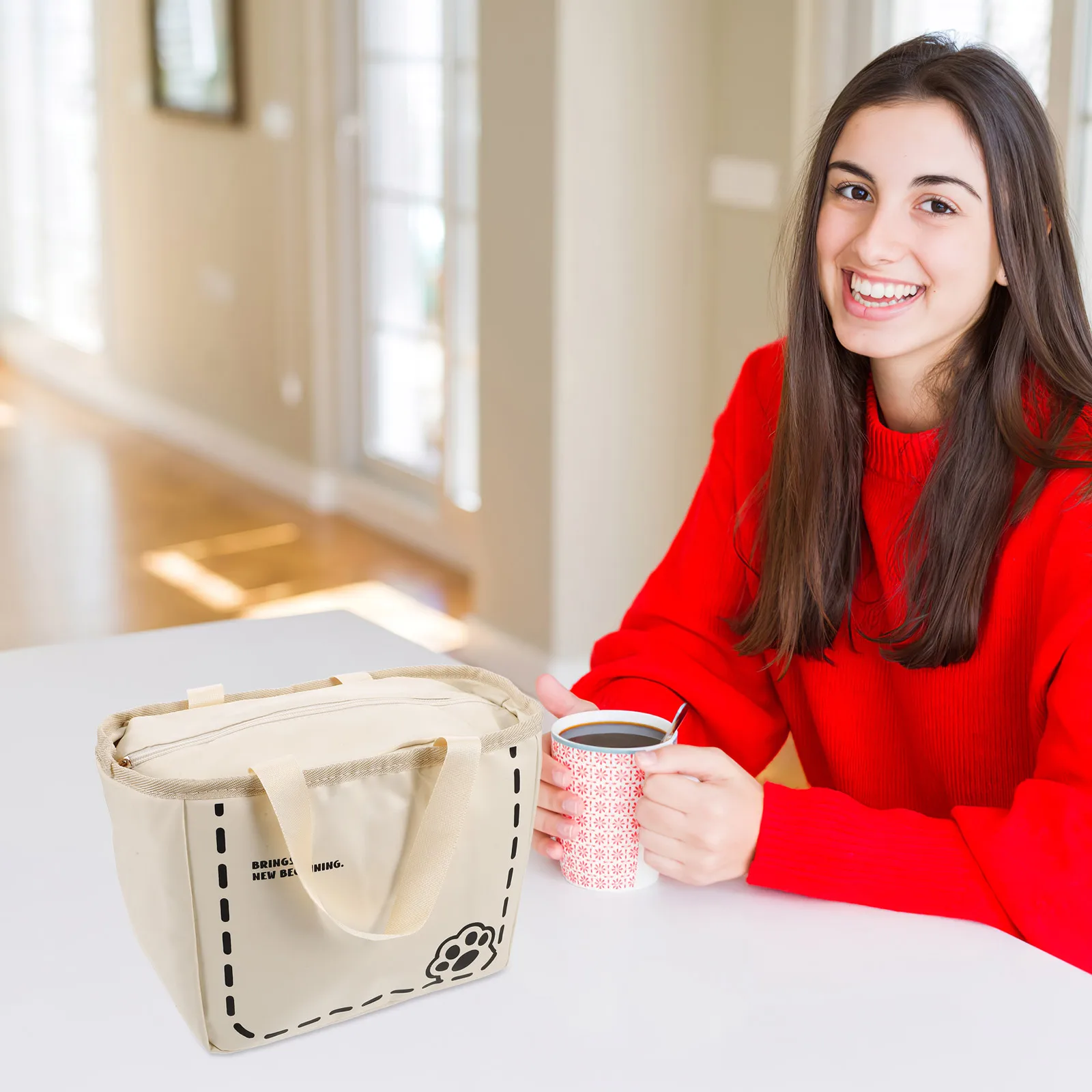 

Cute Large Capacity Insulated For Women Office Workers Thermal Lunch Box Portable Tote Bag For Travel Picnics Lunch Cooler Bag