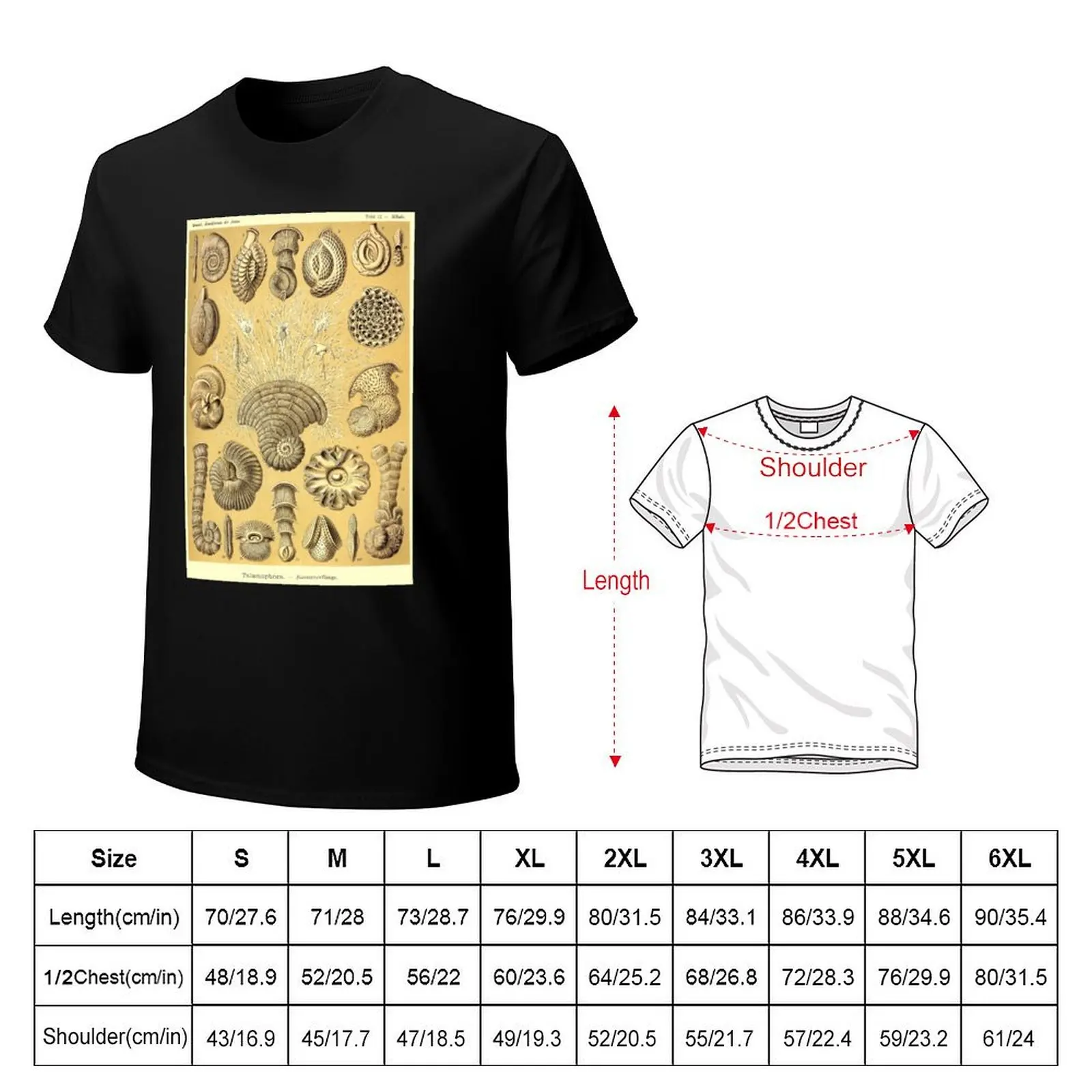 Plate 12. Thalamophora (now Foraminifera), amoeboid protozoans T-Shirt graphics blacks mens t shirts casual stylish