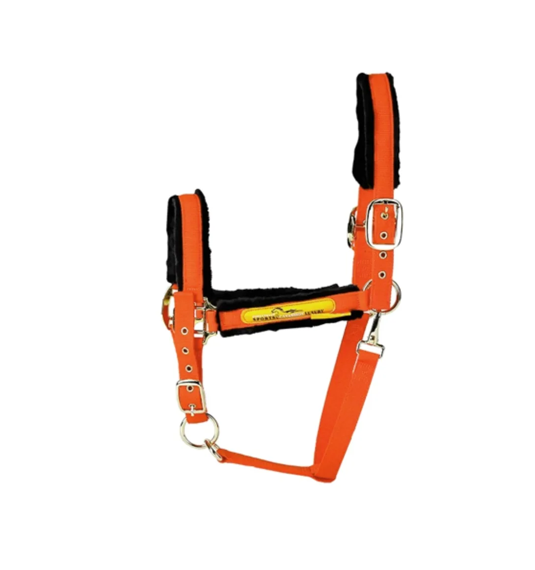 الرياضة الفروسية الرصاص طوق الرأس النايلون الحصان المنسوجات Bridle الفروسية الرياضة الحصان الرسن الرأس