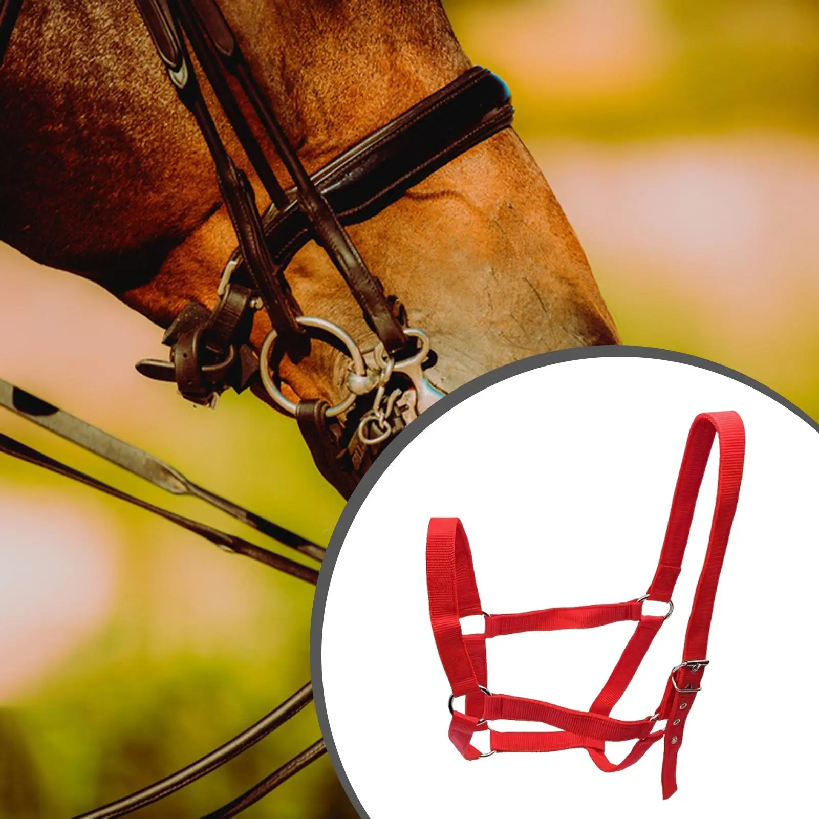 Strong PP Webbing Horse Halter Adjustable Padded Training Rope Harness Tack for Horse Riding and Groundwork