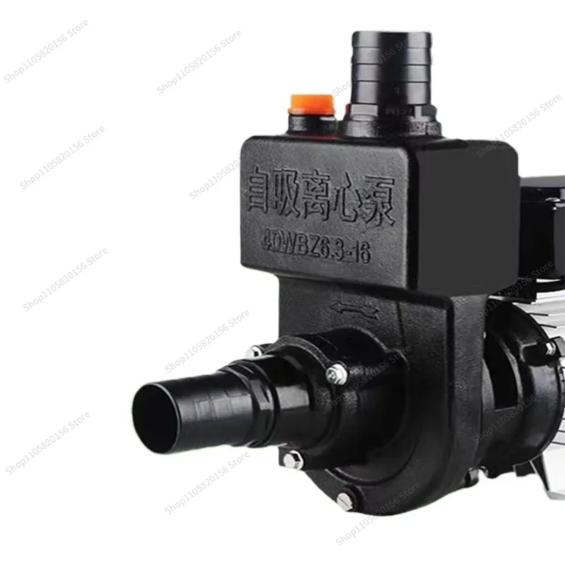 Self-priming Pump 24v48v60v72v Electric Vehicle Water Machine Centrifugal Large Flow Sprinkler Water
