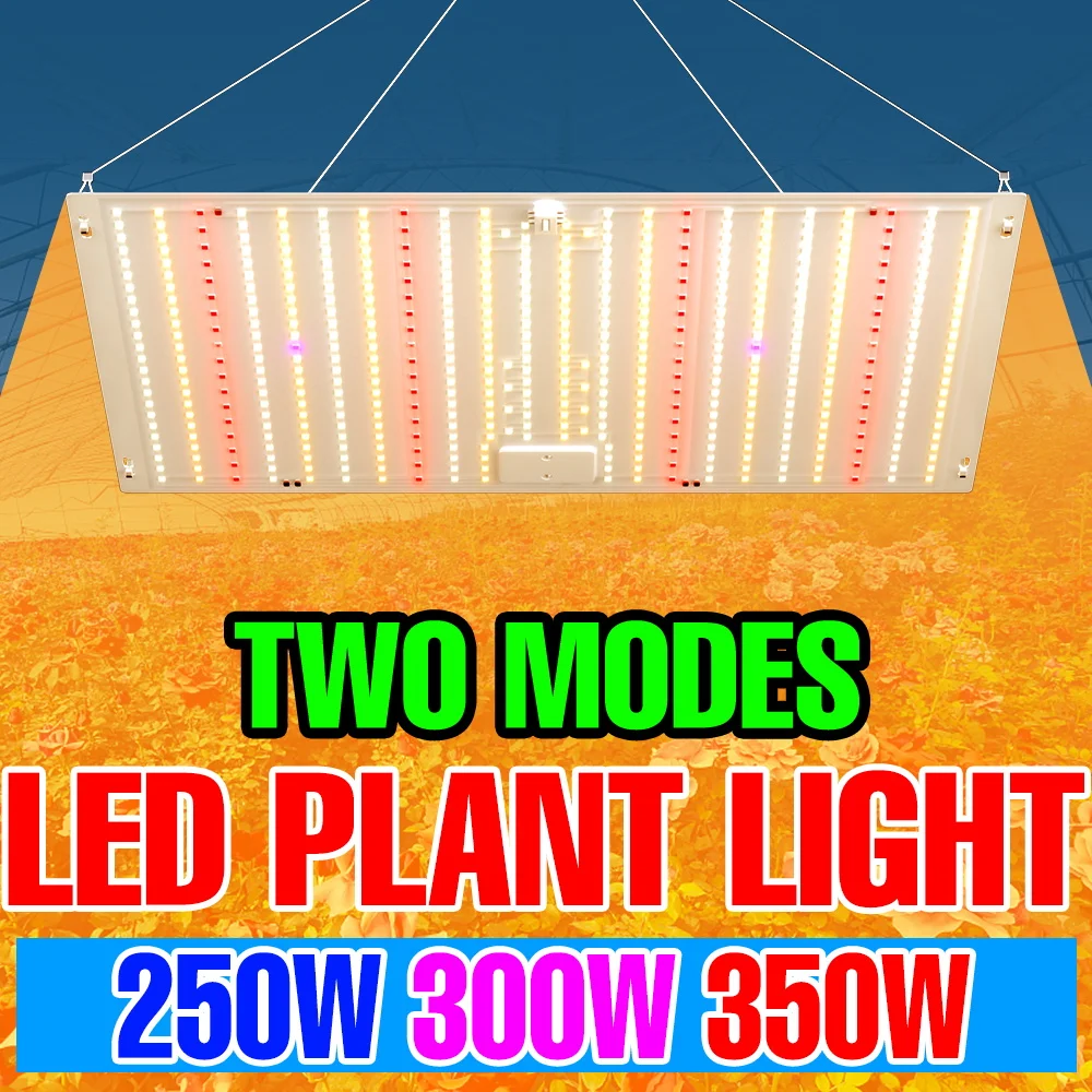 

Светодиодные фитолампы полного спектра 350 Вт, 220 В, Quantum Board, для теплиц, гроубоксов, бонсай, кактусов, овощей, гидропоники