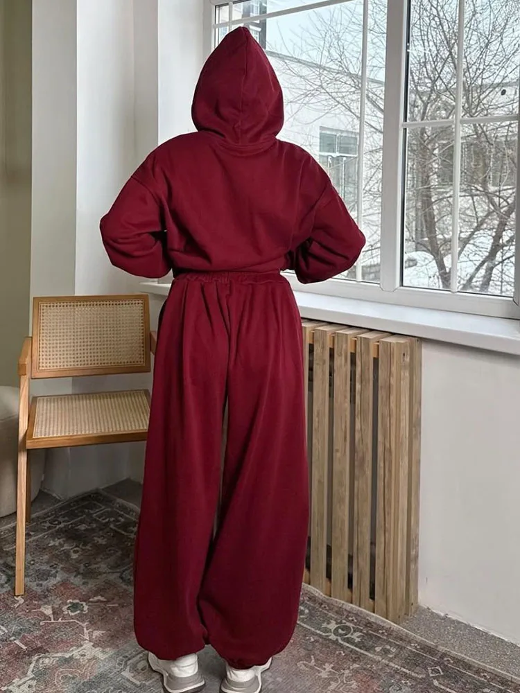 المرأة عارضة سستة عرق Conjuntos الكورية الأزياء الفضفاضة مقنعين فرقة فضفاضة مرونة مستقيم السراويل الرياضية 2 قطعة مجموعة #4