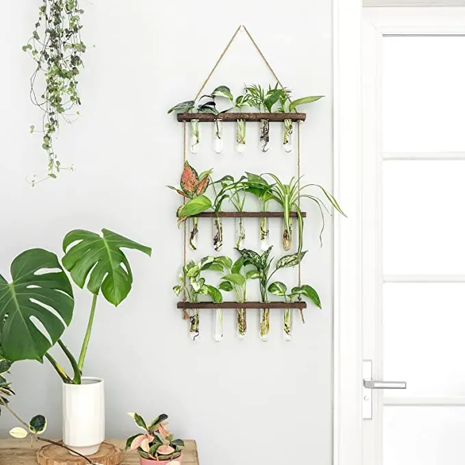 Hanging Plant Display Shelf Glass Tube Wooden 3 Tiered Planters Wall Terrarium for Indoor Home Office Greenery Decoration