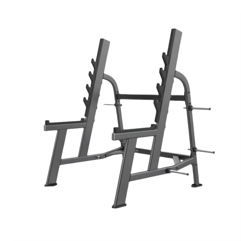 Squat Rack Bench Press Safety Rack for Commercial Strength Training Metal Construction Stable Durable Weight Plate Storage