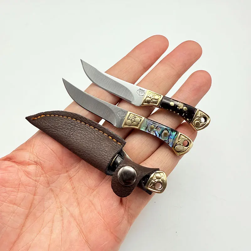 Portable Mini Fruit Knife, Shell Resin Handle, Lightweight Steel Blade, Suitable for Cutting Fruits and Opening Packages