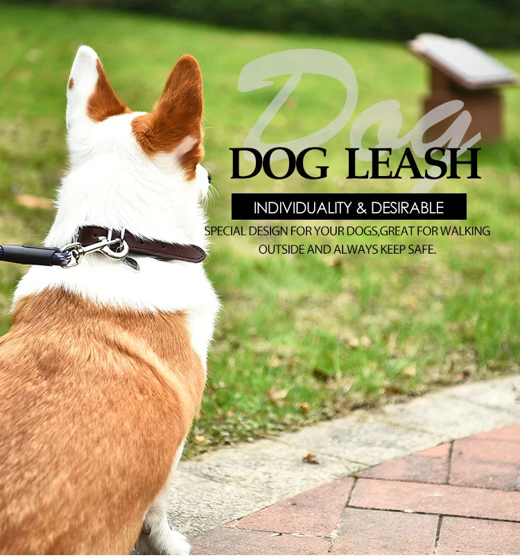 hit productBlack P Rope Durable Newest Nylon Pet Rope Dog Leash Prevent Dogs From Bursting