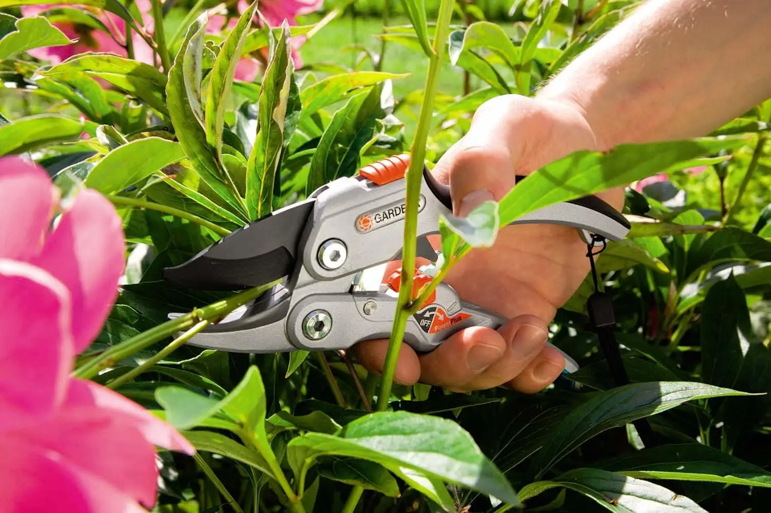 Podadoras de trinquete SmartCut: resistentes con borde de yunque para madera más gruesa y seca de hasta 1" de diámetro, dos posiciones de mango