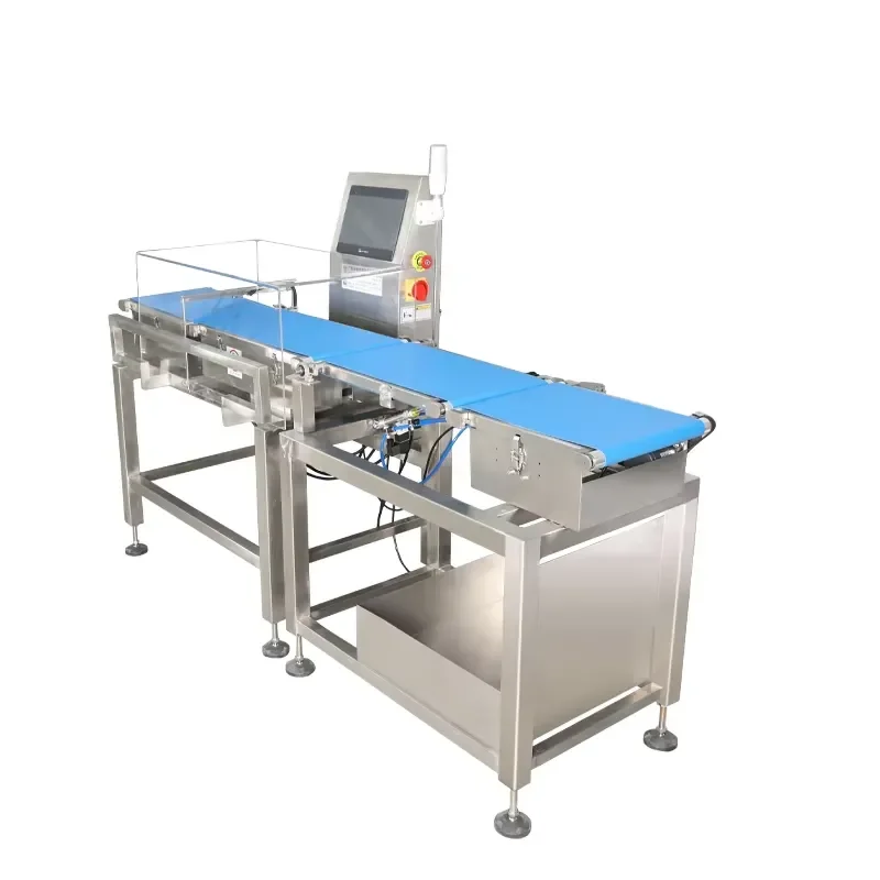 Customized Product Weight Checking Solutions Conveyor Belt Dynamic Weighing Scale Machine