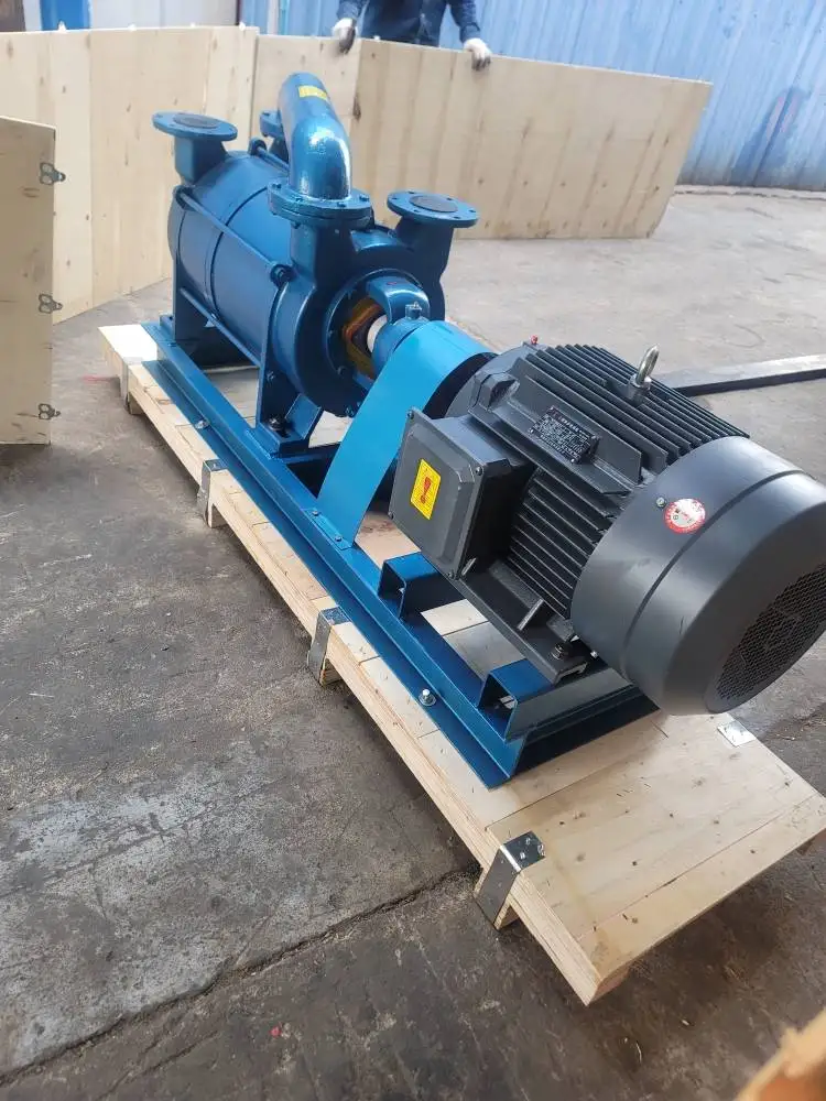 Wholesale High Quality Horizontal Electric Explosion Proof Two-stage Liquid Water Ring Vacuum Pump