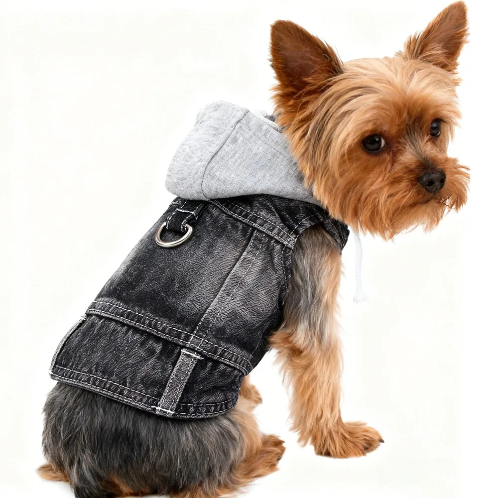 Thumbnail 3 - #11 Trending Puppy Coats Right Now