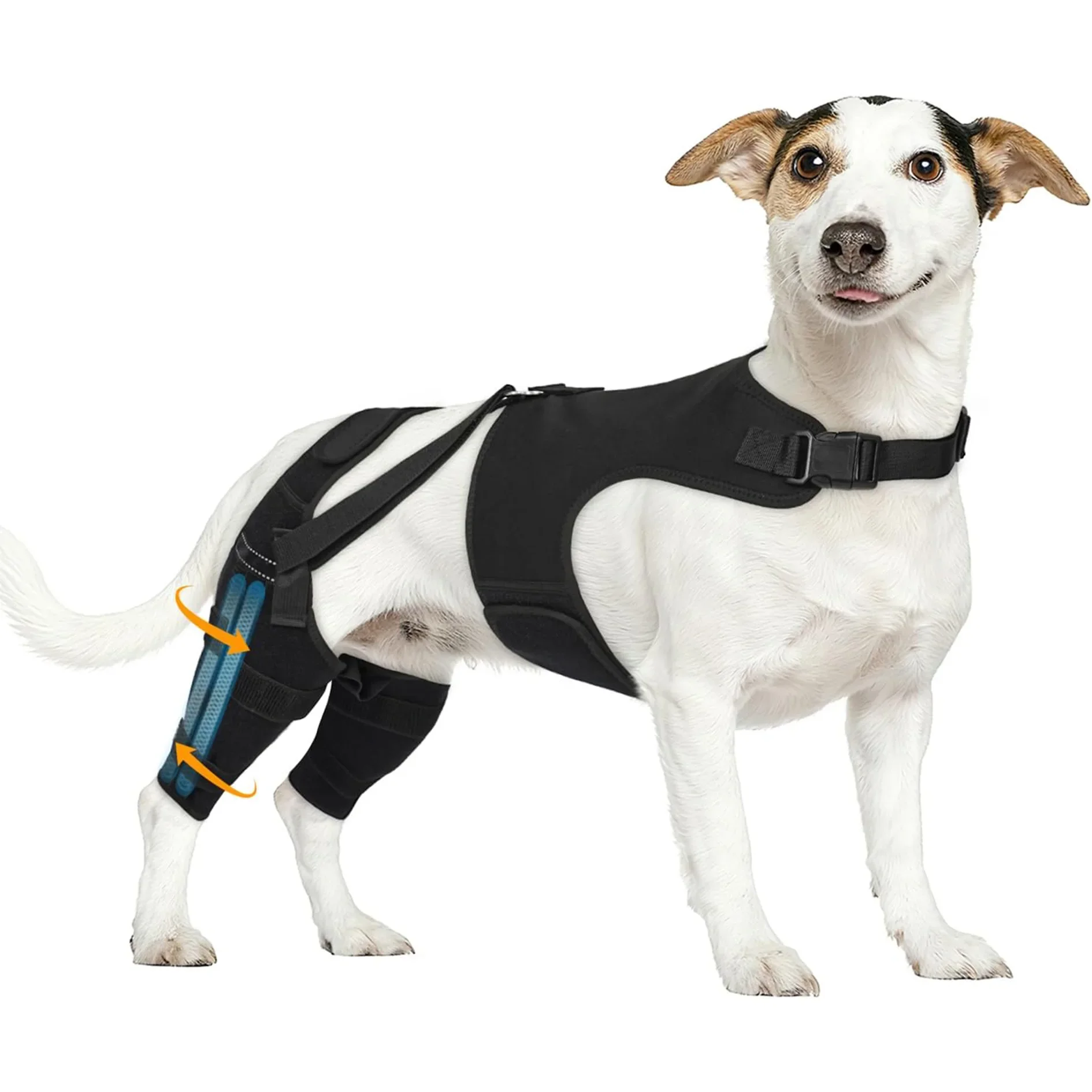 Dog Hind Leg Brace For ACL CCL, Puppy Rear Leg Hip Support, Help Small Medium Dogs Recovery & Arthritis - Reduce Knee Joint Pain