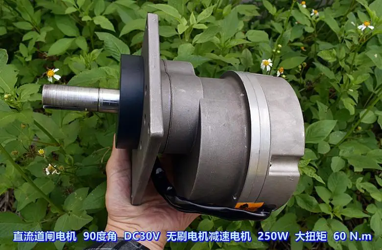 

DC Gate 90 Degree Angle Brushless Gear Motor 250W High Power 60.N.m (a Complete set)