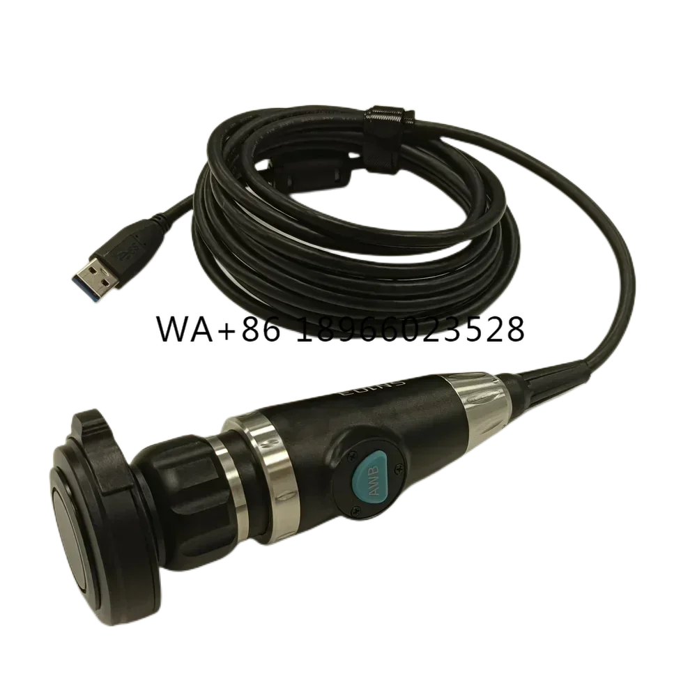 Cat Dog Sheep Cow A…