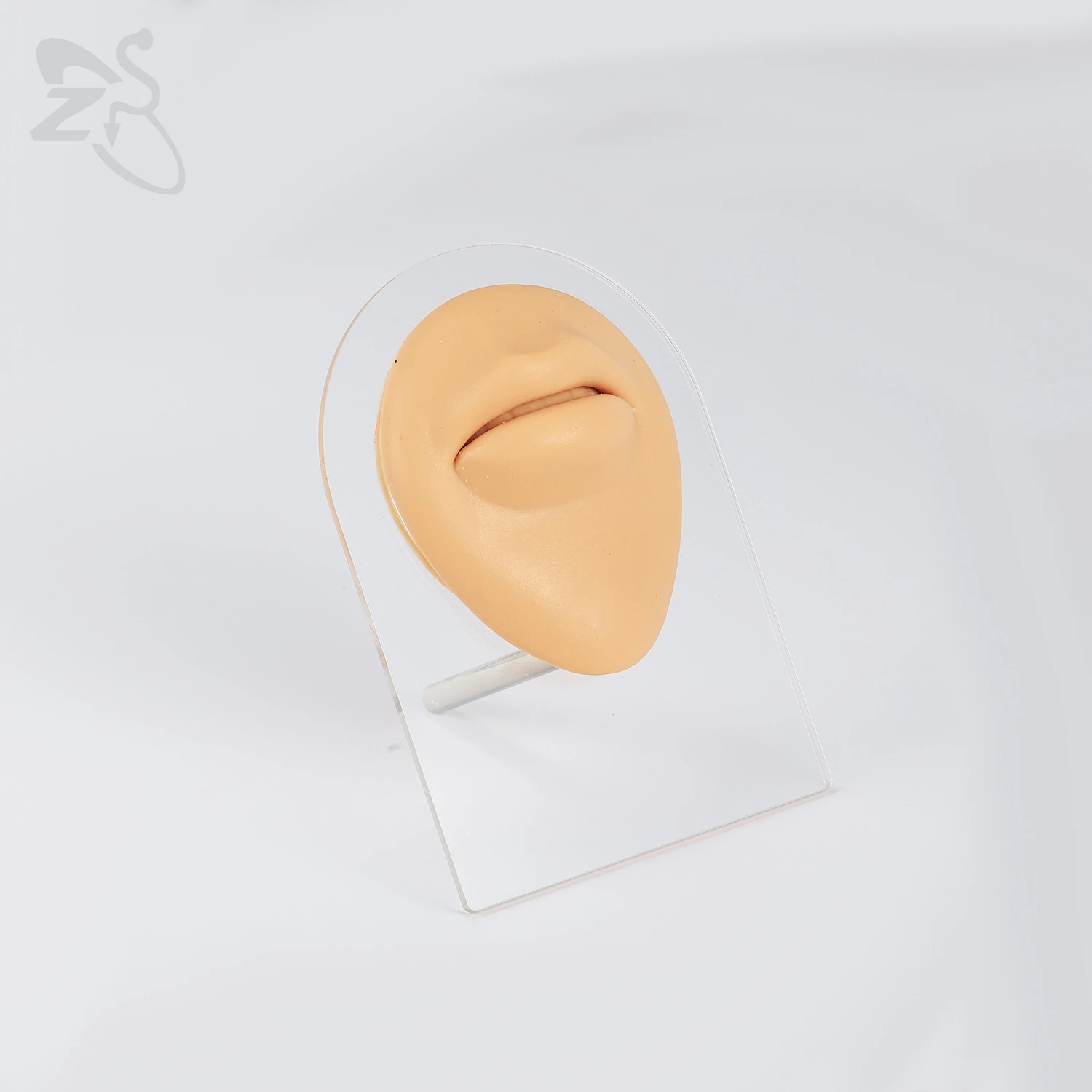 ZS 1 PC Silicone Body Model Ear Nose Model Men Professional Practice Piercing Tools Silica Gel Body Parts Jewelry Display Stand