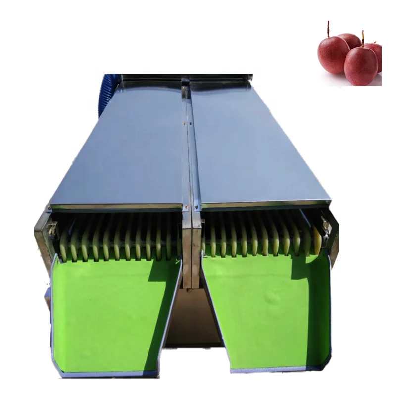Custom Dragon Fruit Sorting Machine Fruit Grader Sorter Sorting Machine for Fruit