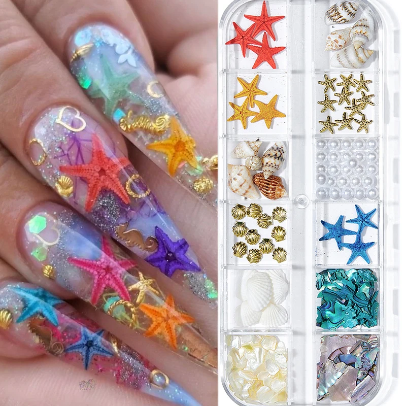 12 Grids Natural Abalone Sea Shell Starfish Nails Charms Summer Ocean Style Nail Art Irregular Shell Slice Abalone Decorations