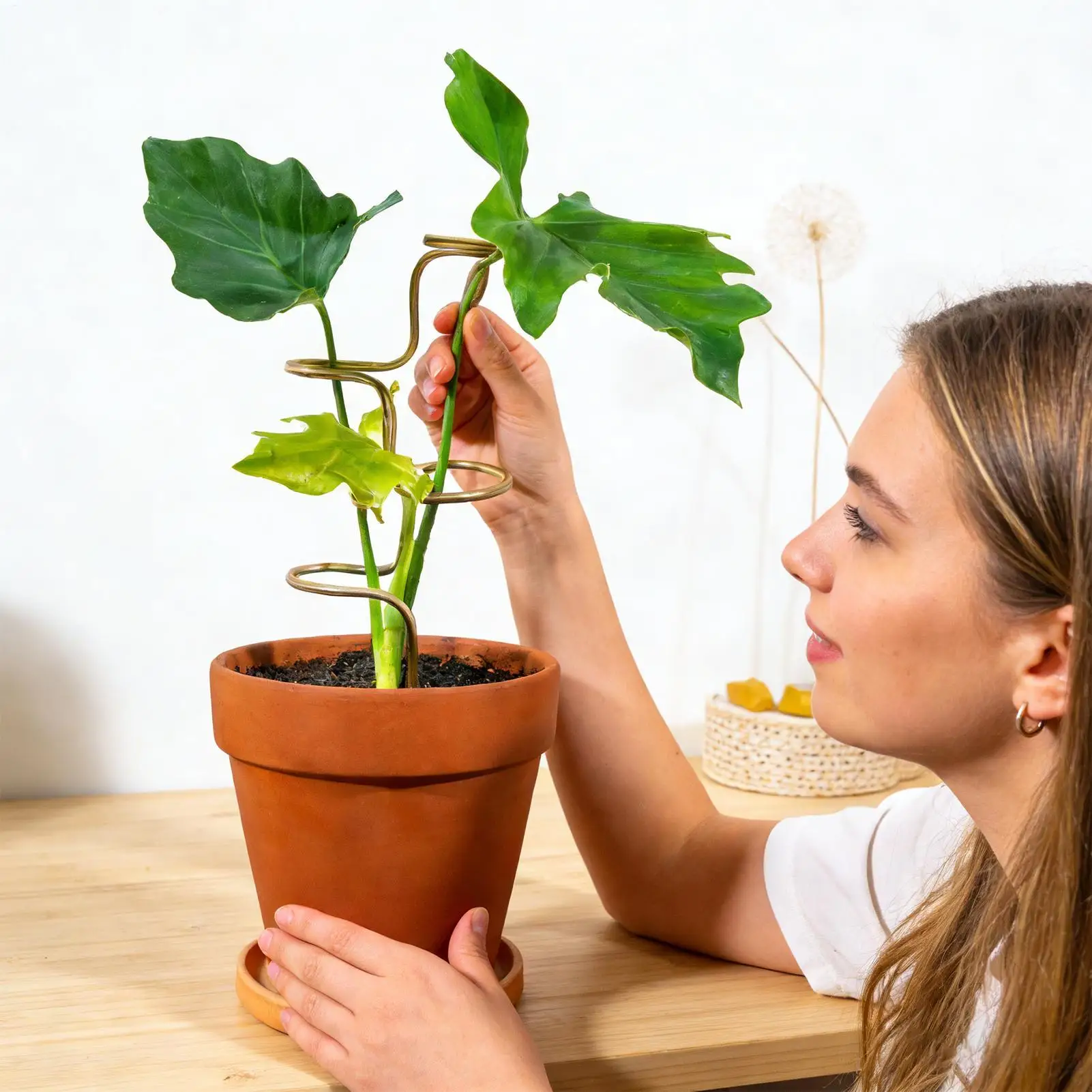 Monstera Plant Support 2 Pieces Flower Climbing Holders Plant Stem Support for Vegetable Orchid Peony Pothos Ground Yard Lawn