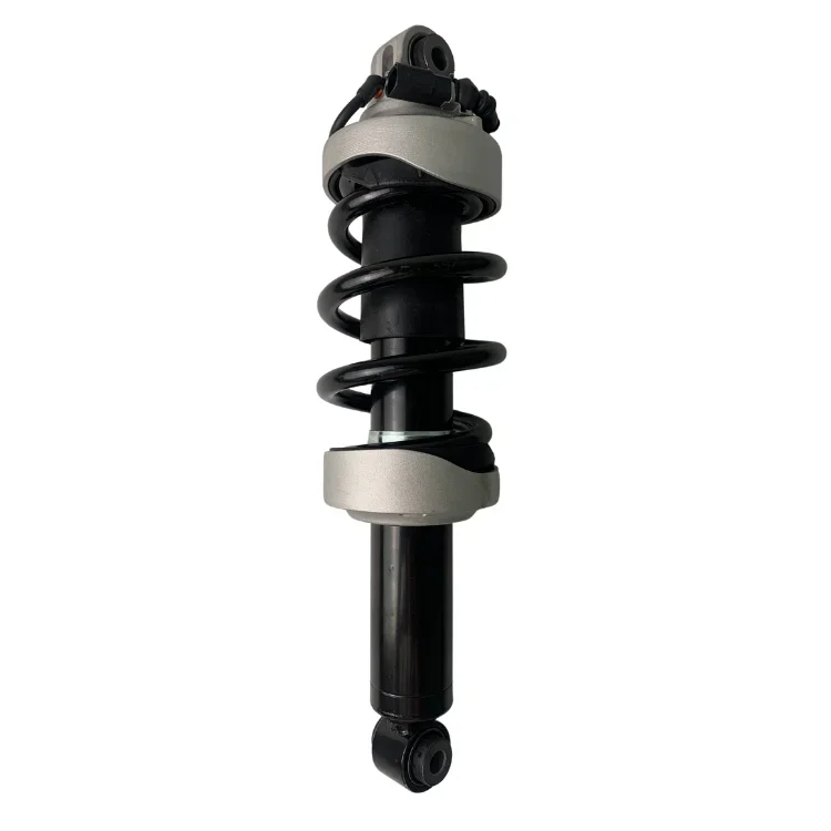 

Popular Hot sell Front Left Air Suspension Shock Absorber Kit for Audi R8 2006-2015 High Performance Car Parts and Accessories O