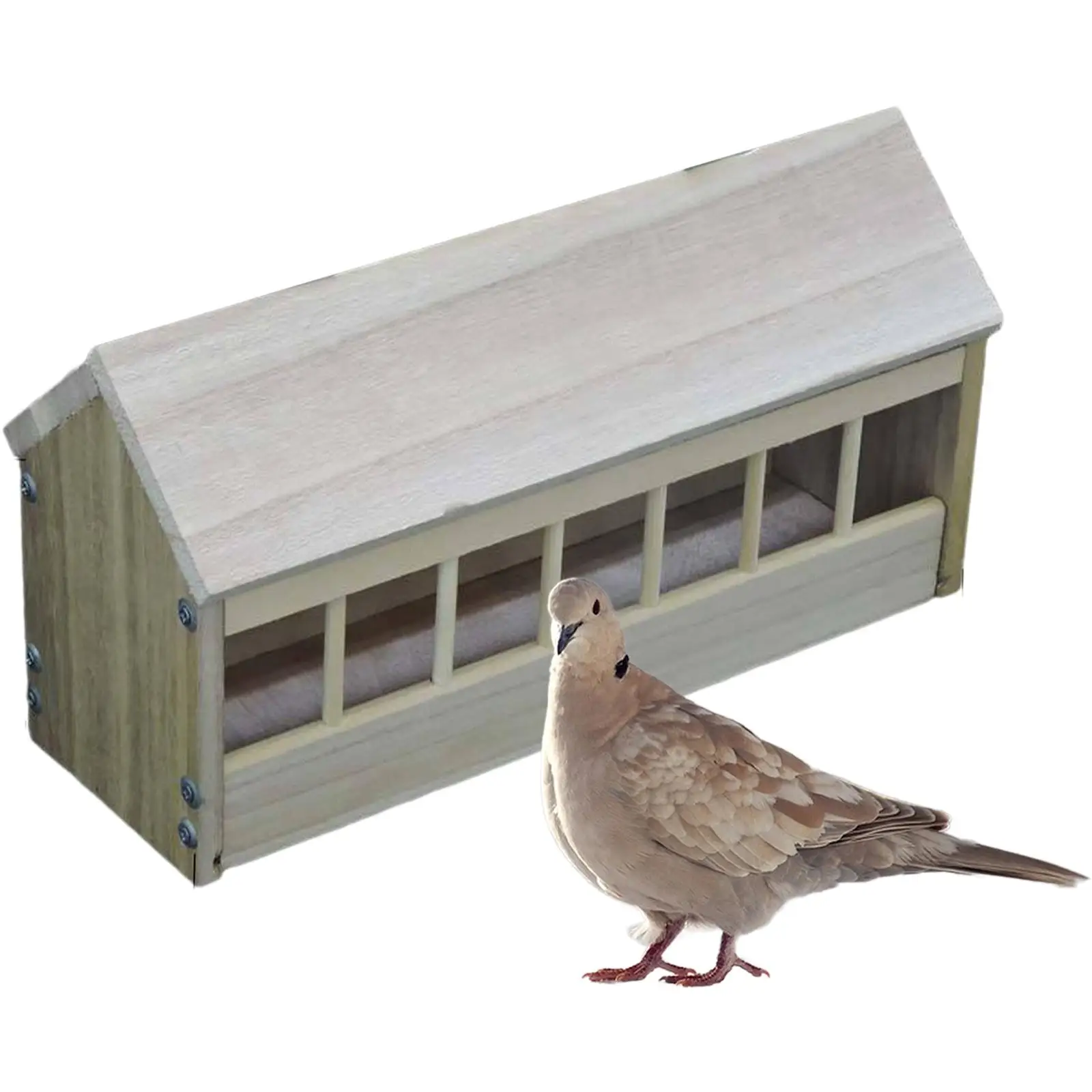 

Pigeon Feeder Trough, Bird Dispenser, Pigeon Supplies, Feeding Dish Bird Feeding Bowl Wood for Pigeons, Ducklings, Chicks