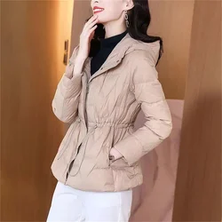 Lightweight Cotton Clothing Women's Short 2022 New Solid Color Fashion Baseball Uniform Hooded Waist Autumn And Winter Jacket