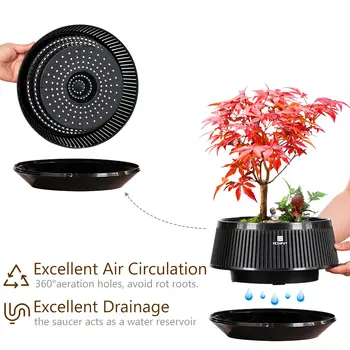 10 best sales עציץ בונסאי גדול - №4