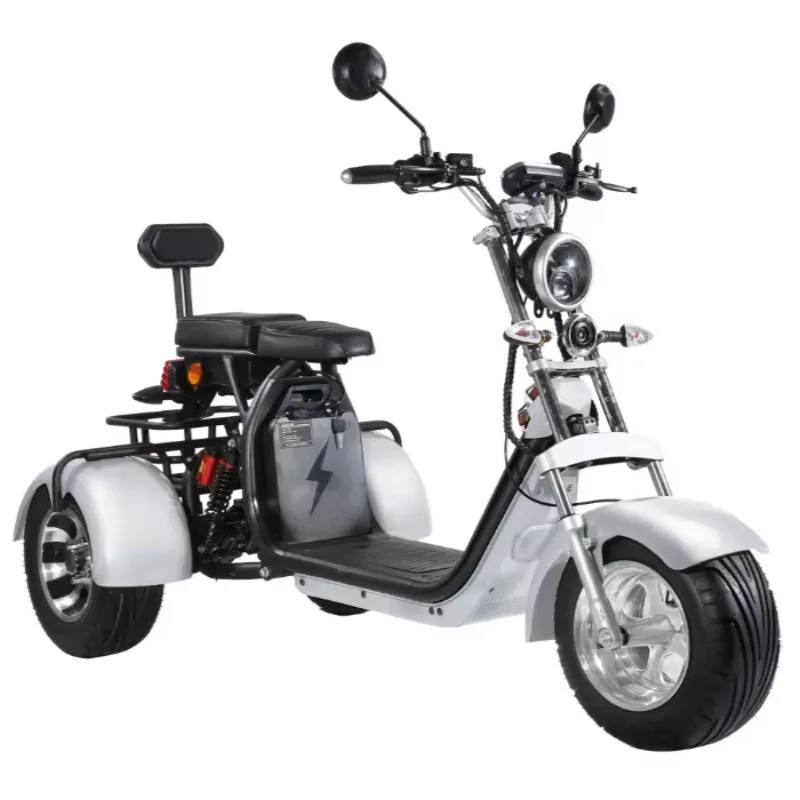

Motocicleta Electrica 1500w3000w High Power 45km/h Fast Long Range Adult Tricycle 3 Wheel Electric Bike