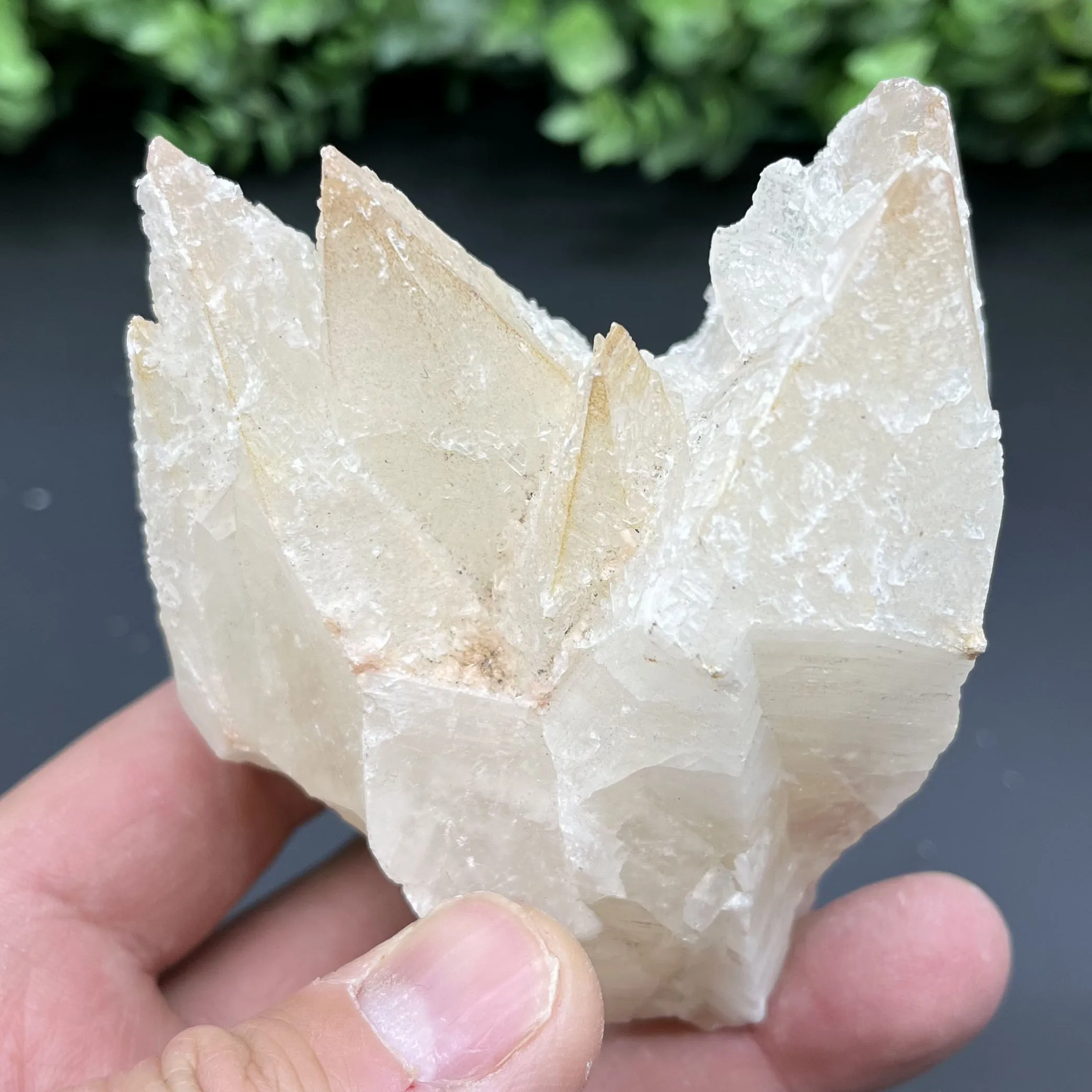 Natural red-headed wolf tooth calcite and gypsum symbiosis quartz original mineral mark collection ornaments