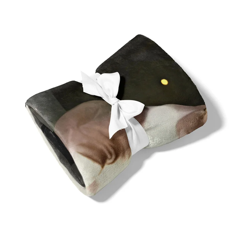 Aertemisi Don't Ask Just Vibe Funny Smoking Cat Meme Pet Blanket for Small Medium Large Dog Cat Puppy Kitten Couch Sofa Bed