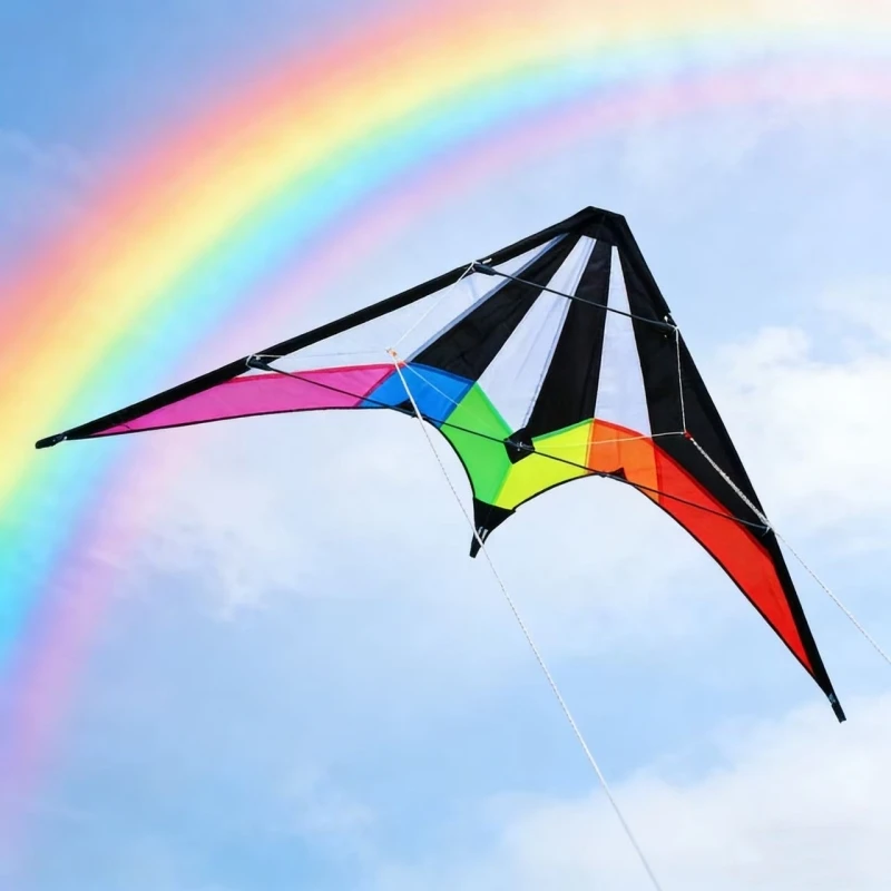 Dual-Line-Sportdrachen, Stunt-Kite für Erwachsene, Flugdrachen mit Schnur, Stranddrachen, Outdoor-Spielzeug, Weifang Drachenfabrik, Koi-Linie