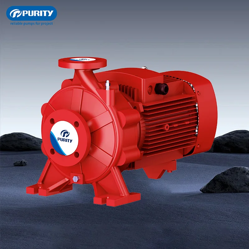 

220/380/400/440V Electric Industrial Horizontal Centrifugal Water Pump