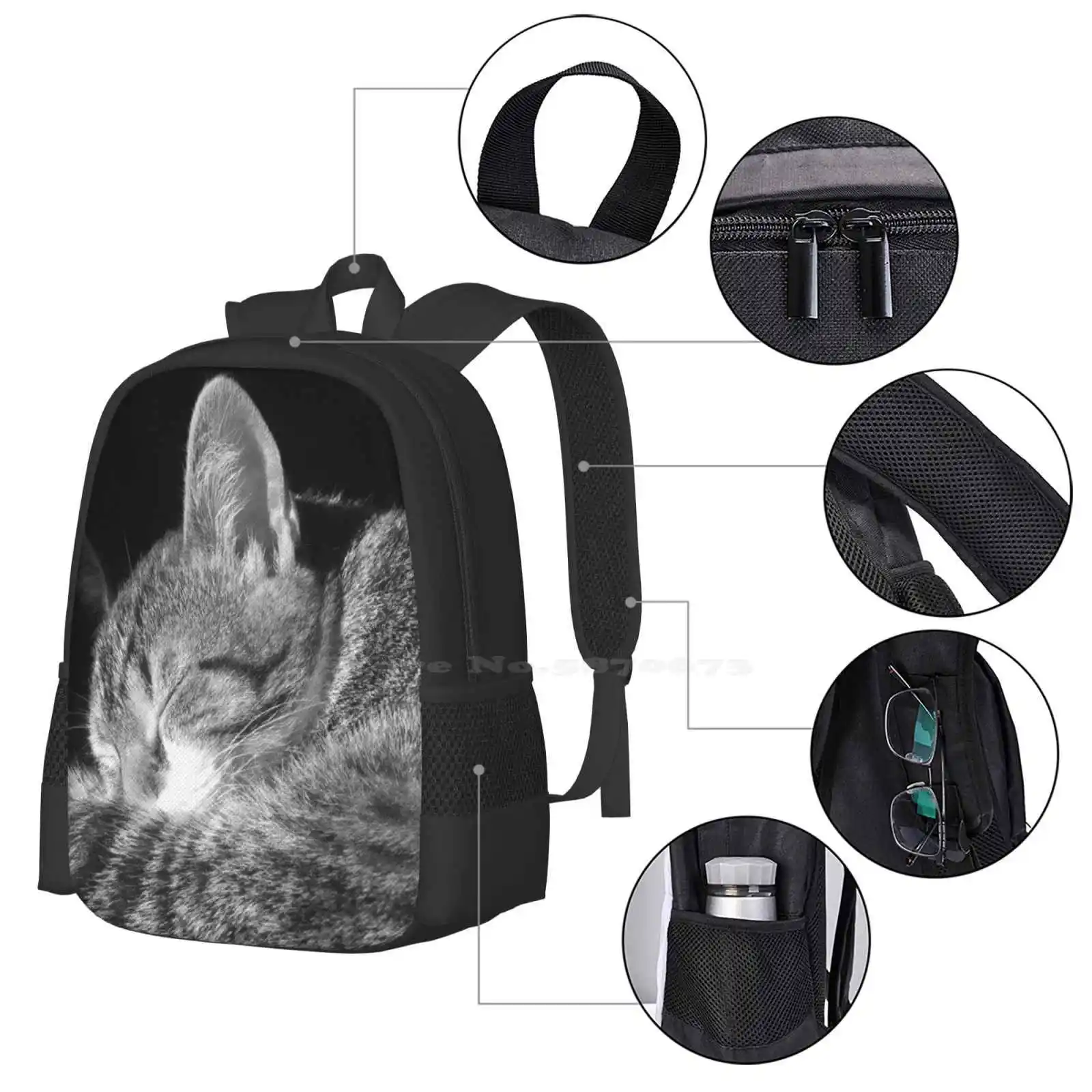 Cat Sleeping In Sun Black And White Cutest Cat Pics Fashion Pattern Design Travel Laptop School Backpack Bag Cat Sleeping In