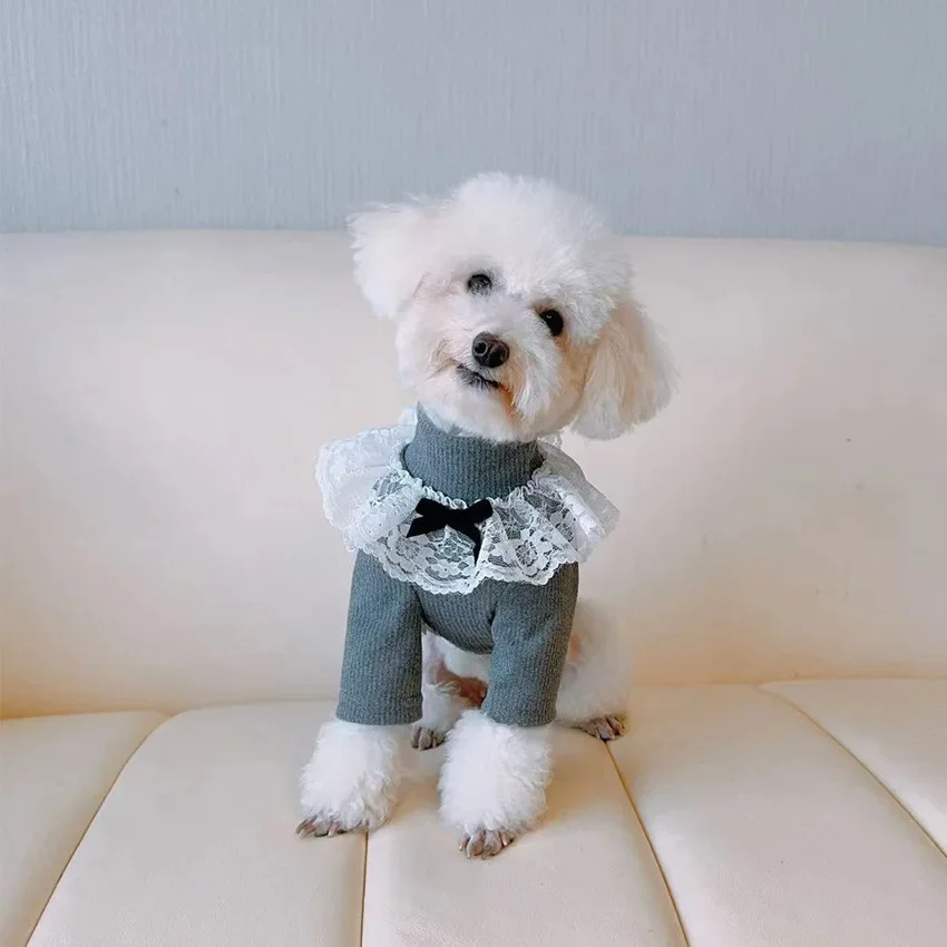 Autumn and Winter High Neck Base Coat for Small Dogs Lace Pet Two Legged Clothes Small Dog Teddy Bear Clothes Warm Base Coat