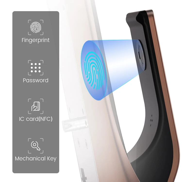 South Africa Aluminum Fingerprint Card Smart Lock Password Lock Anti-theft Door Lock