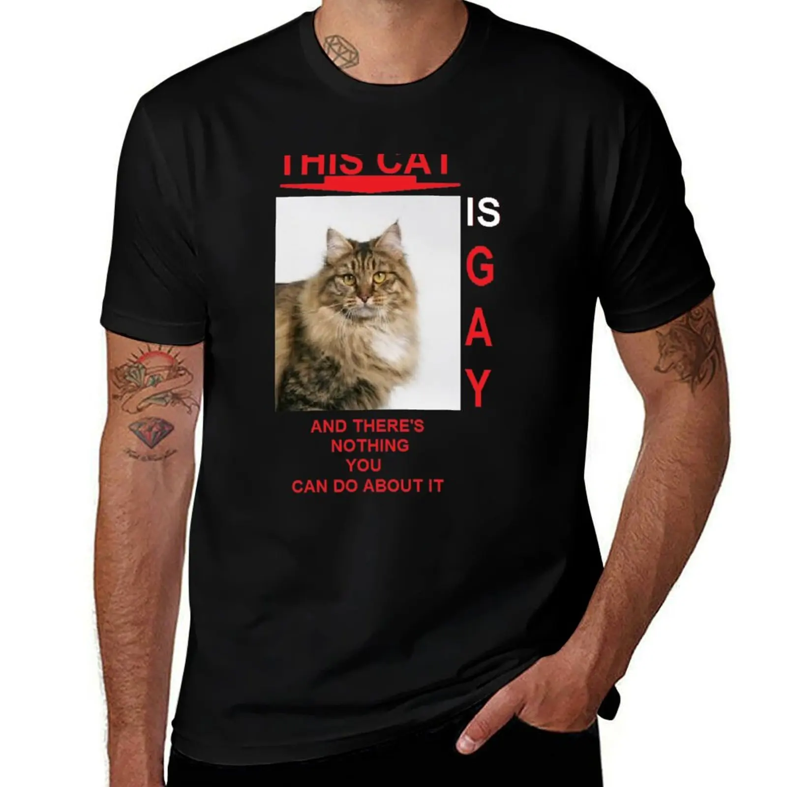 this cat is gay and there's nothing you can do about it. T-Shirt t shirts for man pack white T-Shirt