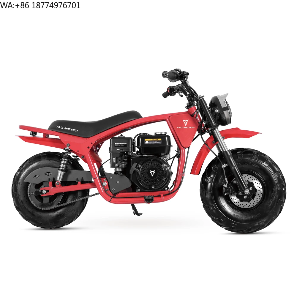 Tao Motor 2025 New Steel Frame Off-Road  Fat Tire Dirt Bike 200cc Motorcycle
