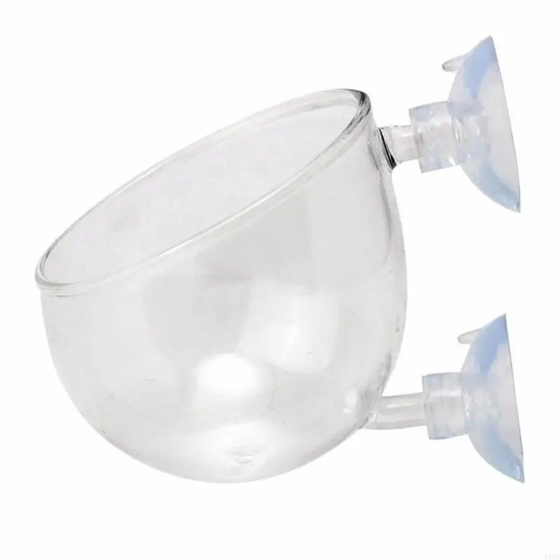 

Glass Plant Cups with Suction Cups for Water Planting Mount Landscaping Clear Glass Plant Holders with Suction Cups