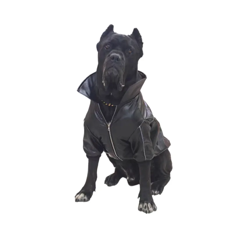 

Winter Dog Clothes Leather Coat Jacket Samoyed Husky Border Collie Labrador Golden Retriever Weimaraner Big Large Dog Clothing