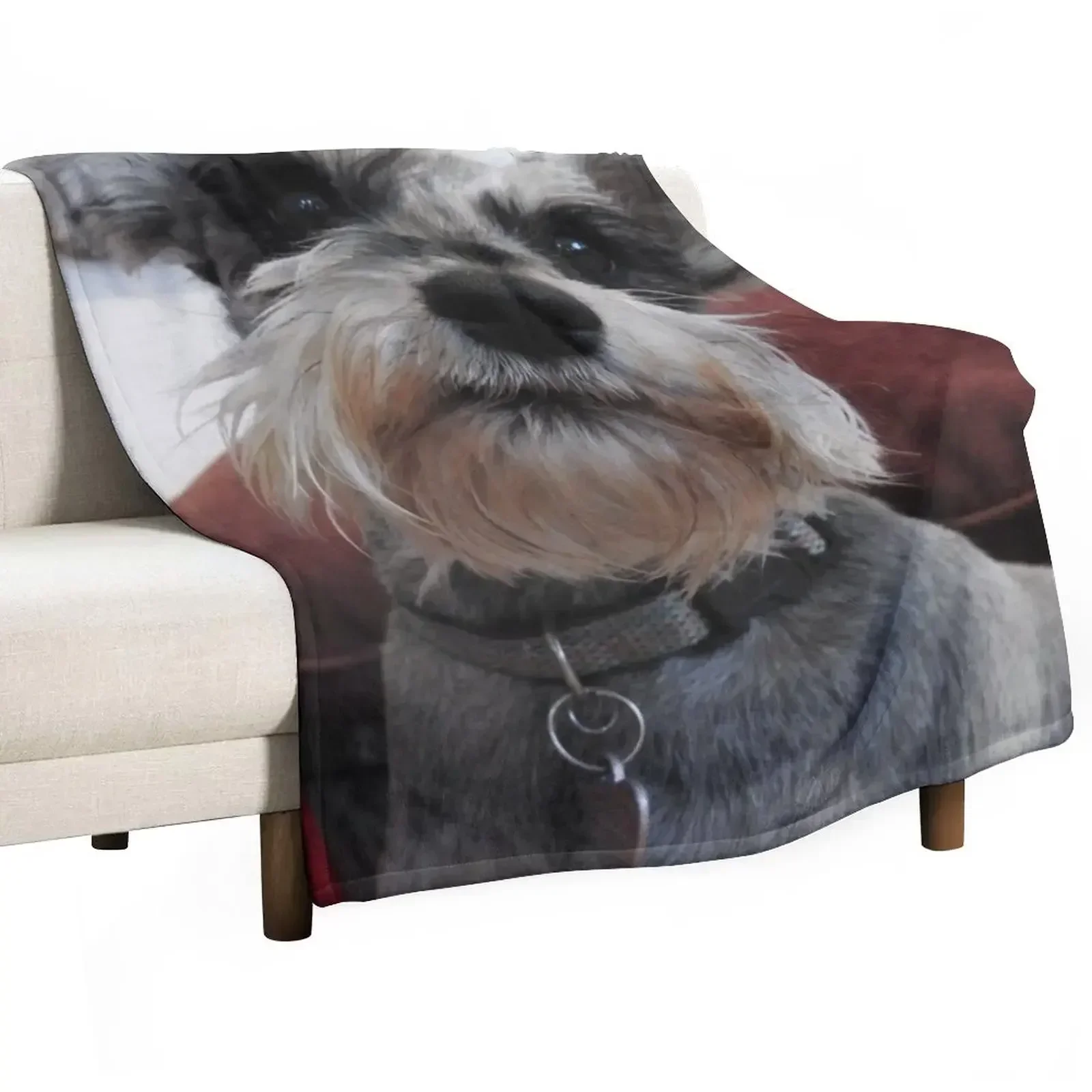 

cute christmas Schnauzer Throw Blanket Soft Comfort Blanket for Reading Watching TV