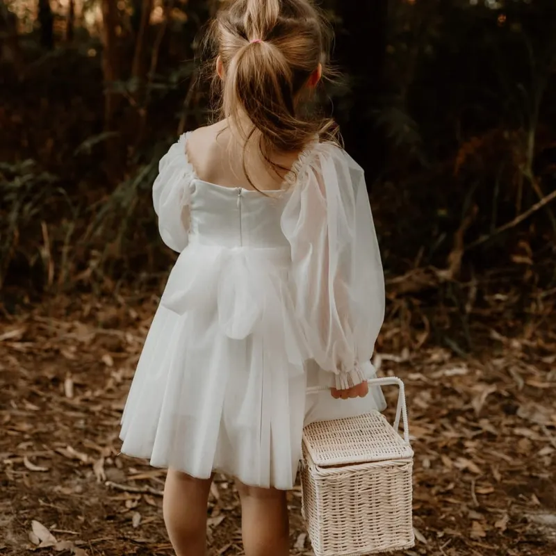 Baby Girl Princess Mesh Tutu Dress White Infant Toddler Child Long Sleeve Tulle Vestido Wedding Birthday Party Baby Clothes 2-6Y