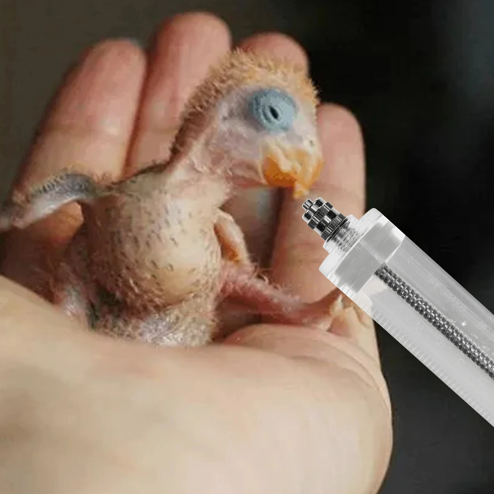 

Creative Alloy Stethoscope Necklace Lightweight Pendant Durable Material Professional Use Feeding Baby Pigeon Parrot Pet