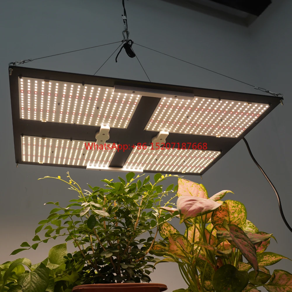 LM301H Grow Light K… - image